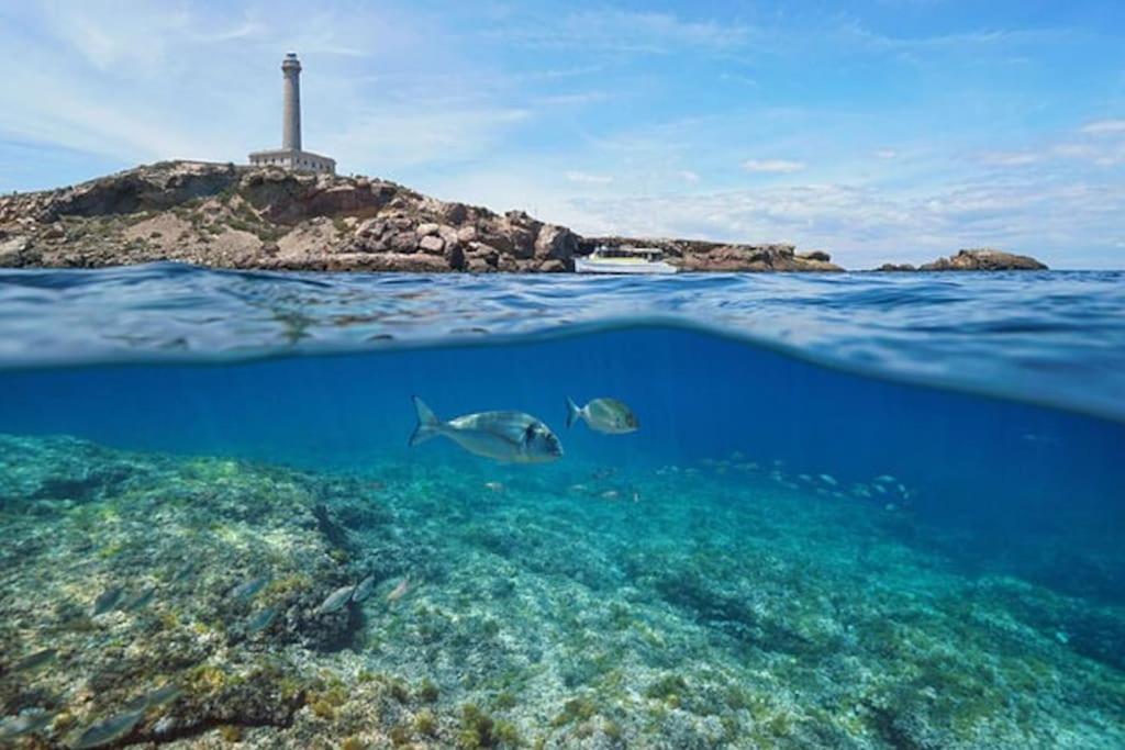 Apartamento Primera Linea La Manga Buitenkant foto